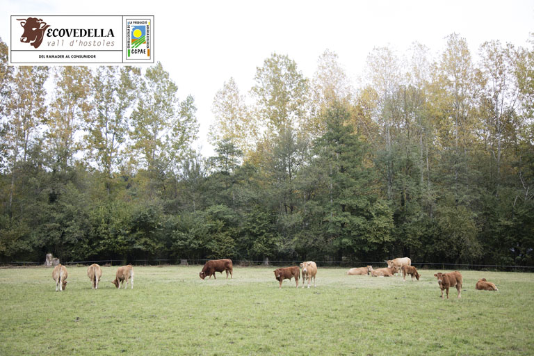 Excursió a la Granja de Vaques